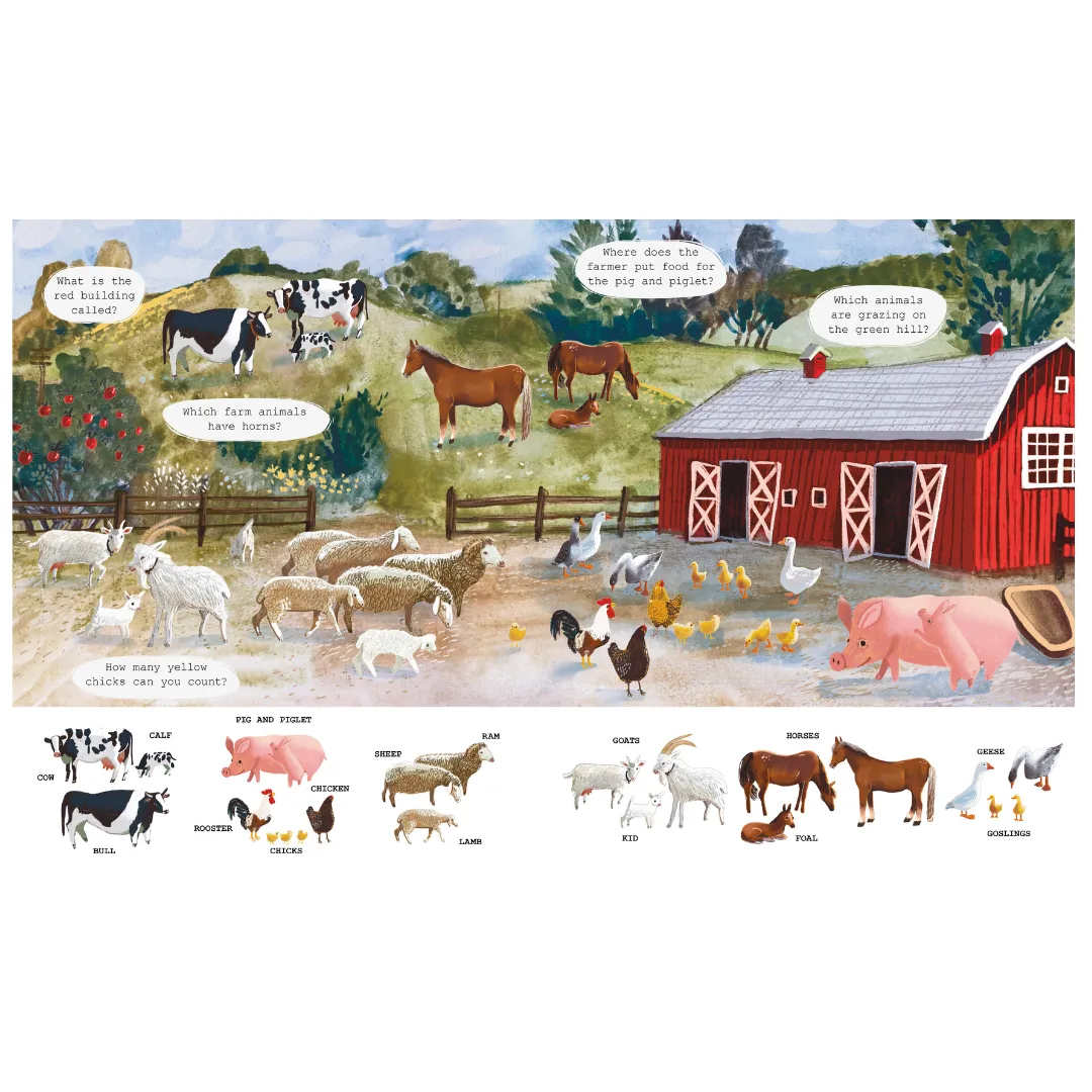 Animals (Search and Learn)