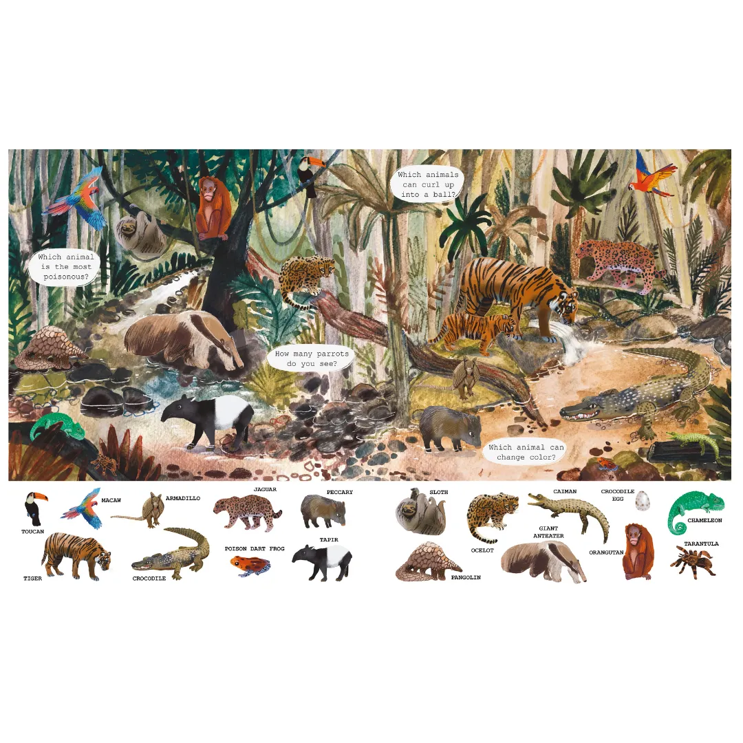 Animals (Search and Learn)