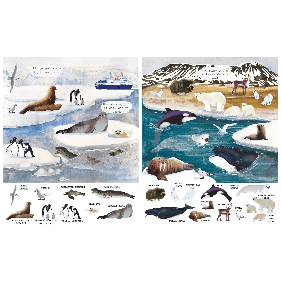 Animals (Search and Learn)