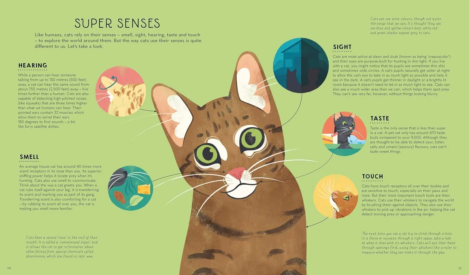 Atlas of Cats
