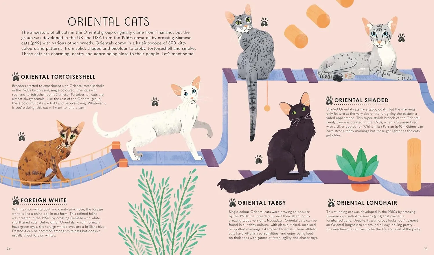Atlas of Cats