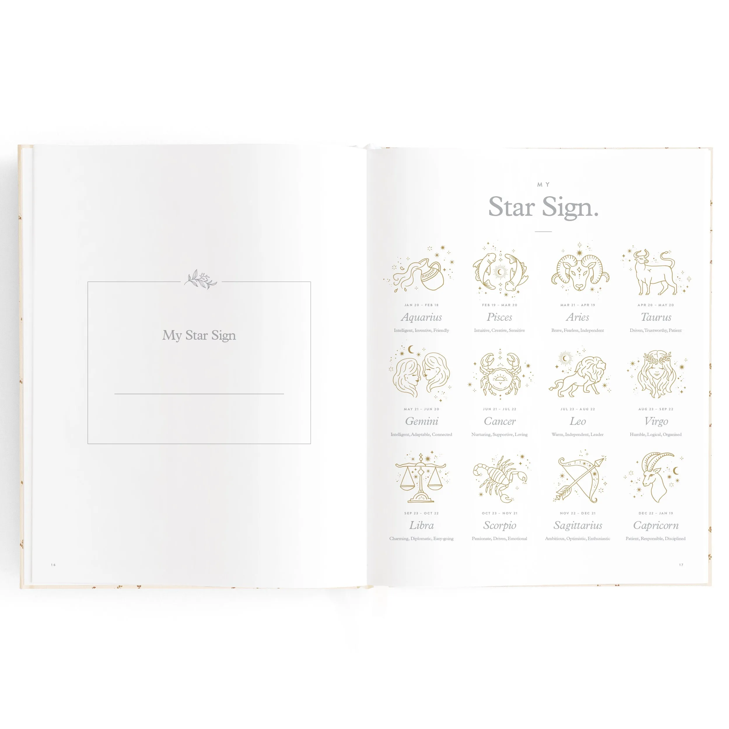 Baby Book COFFEE STRIPE