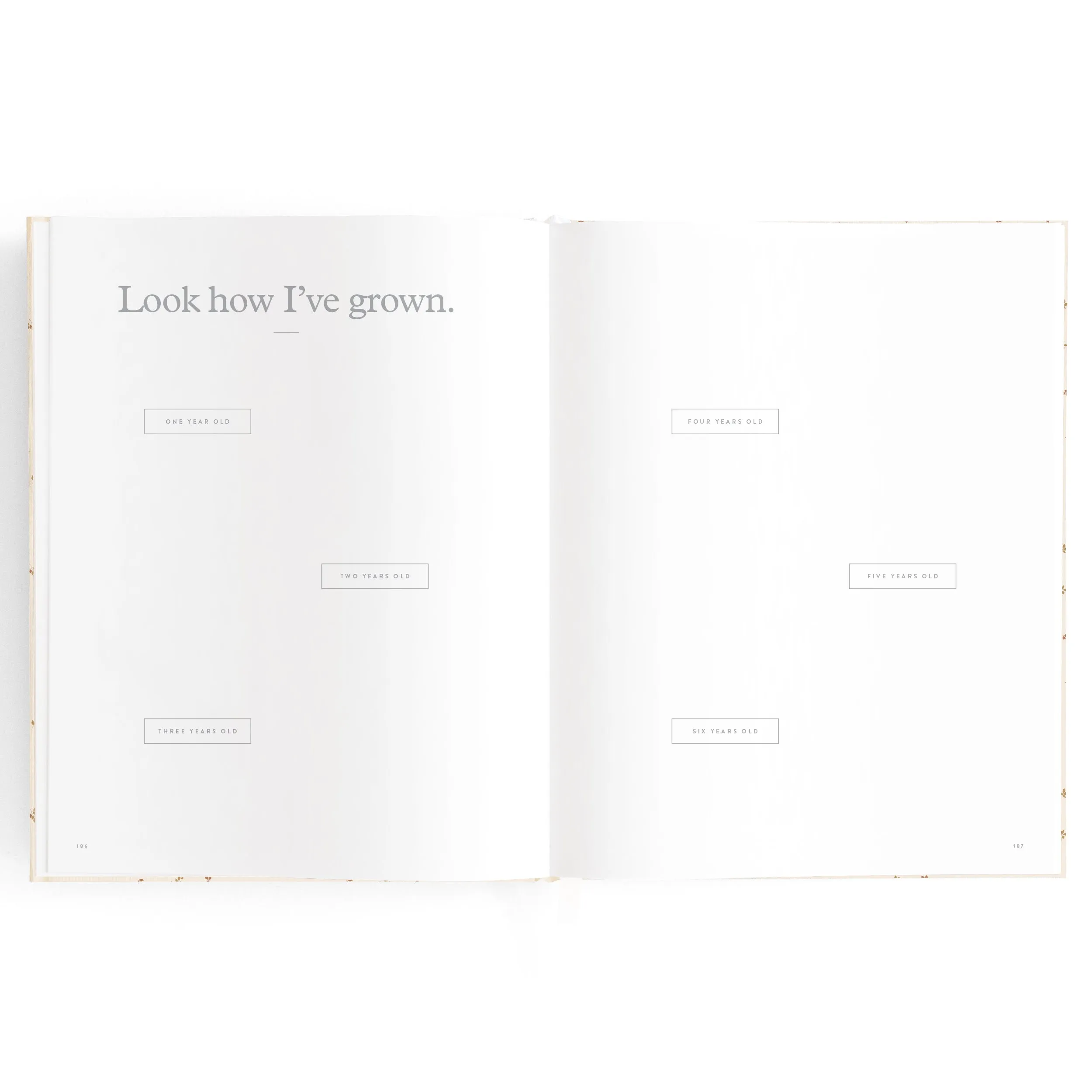 Baby Book COFFEE STRIPE