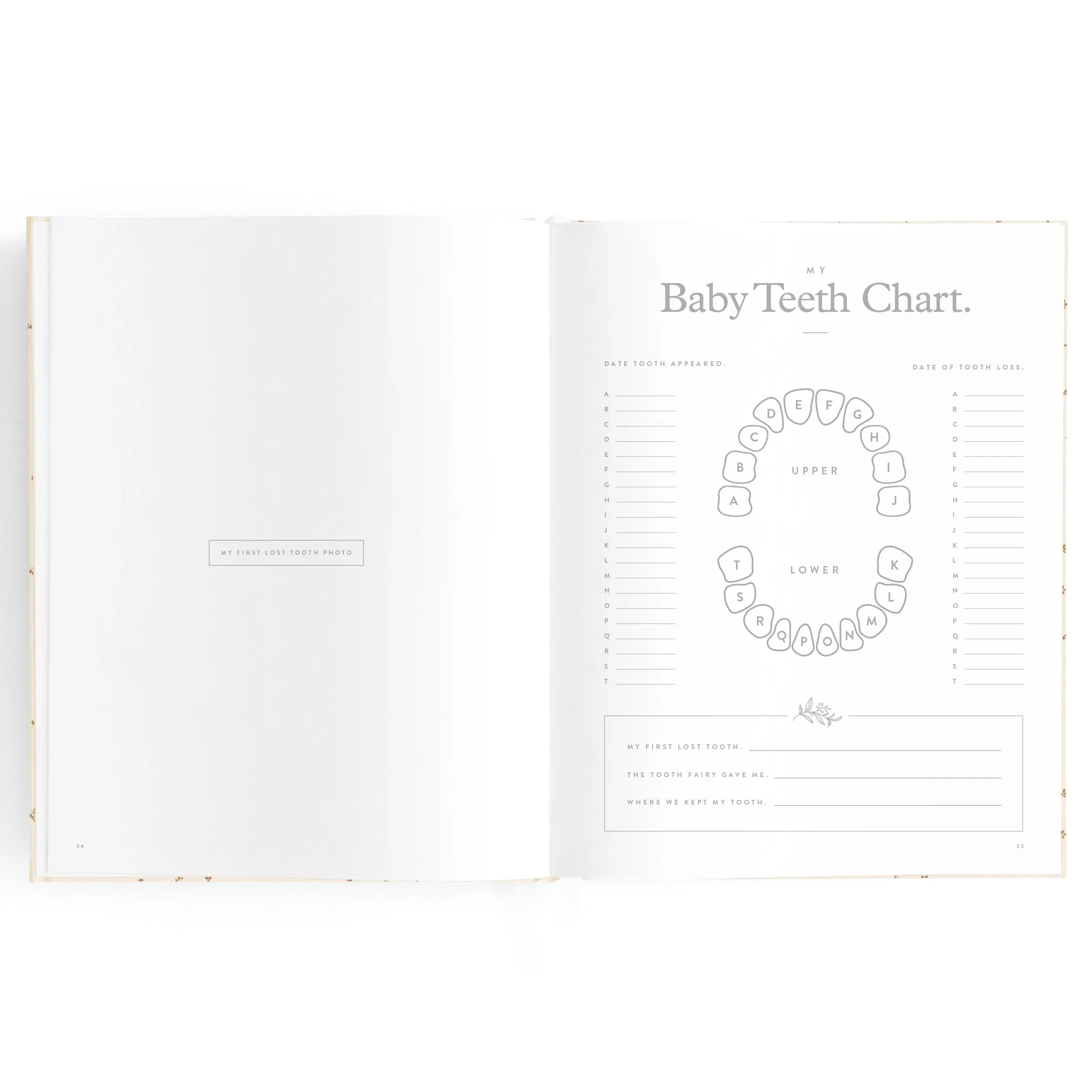 Baby Book COFFEE STRIPE
