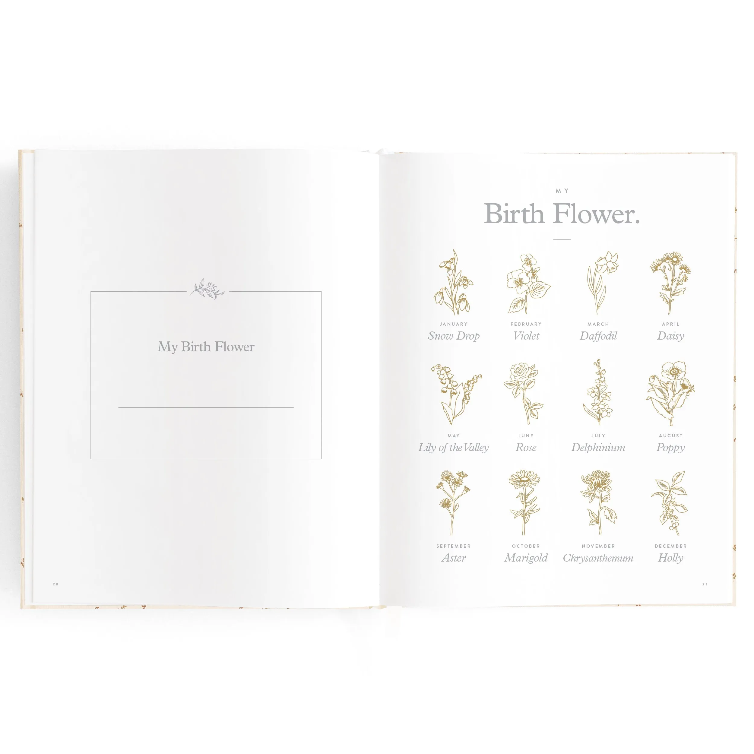 Baby Book COFFEE STRIPE