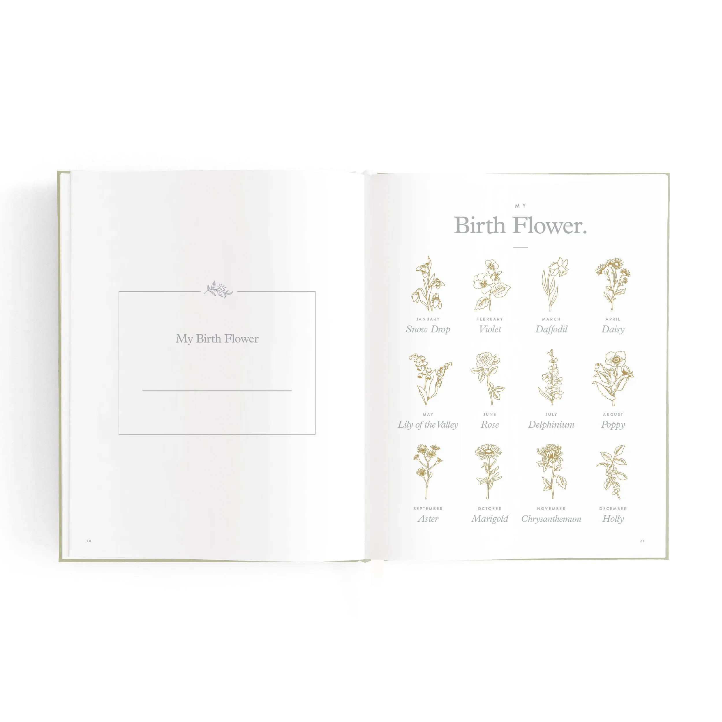 Baby Book Mini BLUEBELL