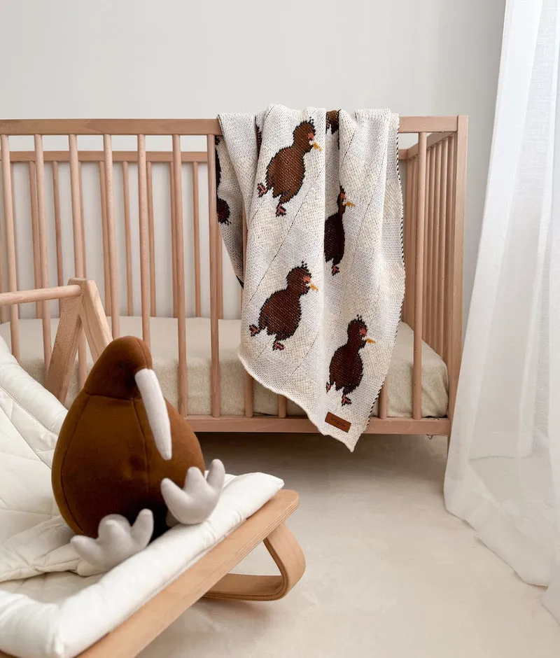 Bengali Teddy | Kevin the Kiwi