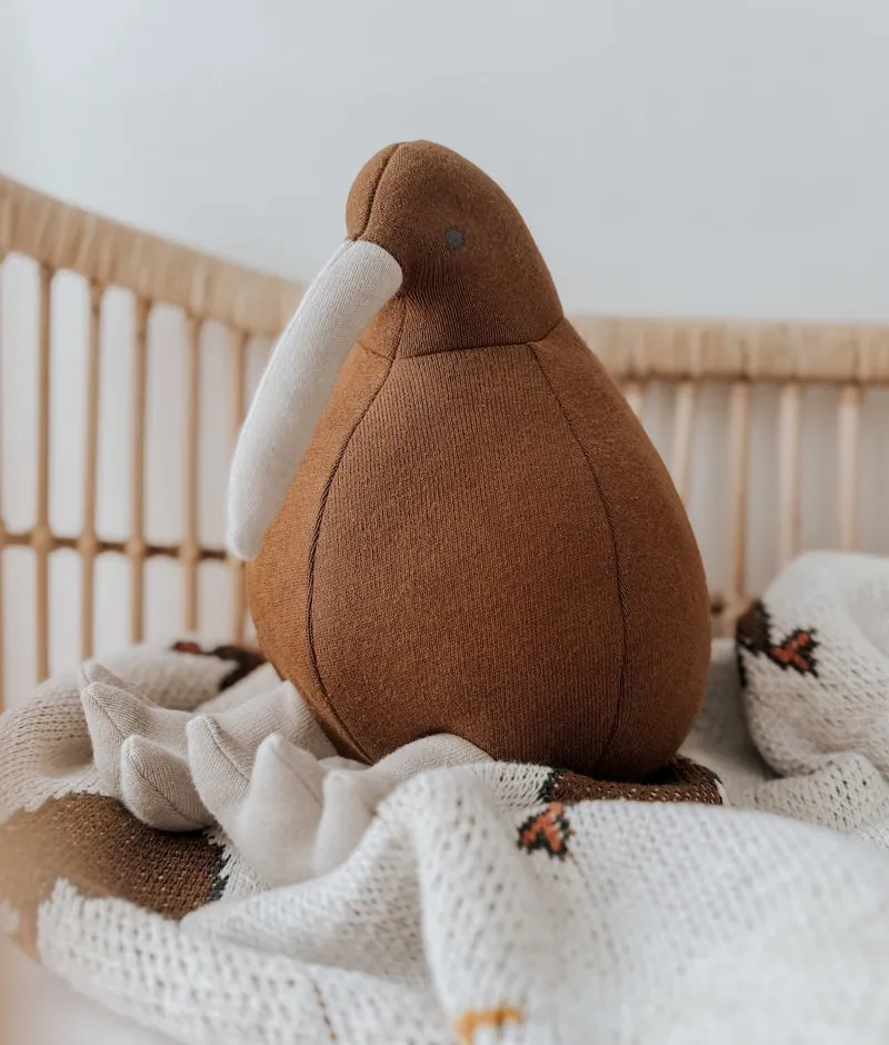 Bengali Teddy | Kevin the Kiwi