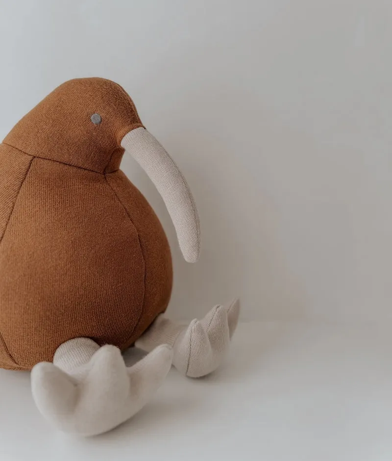 Bengali Teddy | Kevin the Kiwi