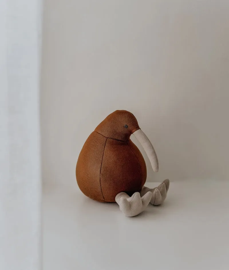 Bengali Teddy | Kevin the Kiwi