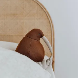Bengali Teddy | Kevin the Kiwi