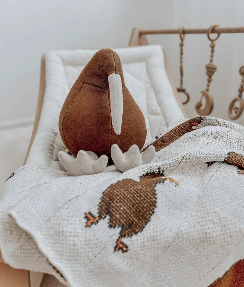 Bengali Teddy | Kevin the Kiwi