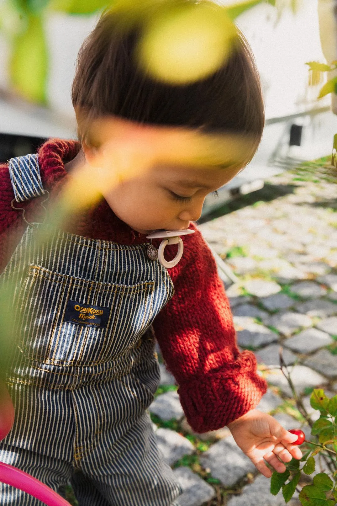 BIBS Pacifier Duo - Urban Garden | Bumblebee Mushroom Mix