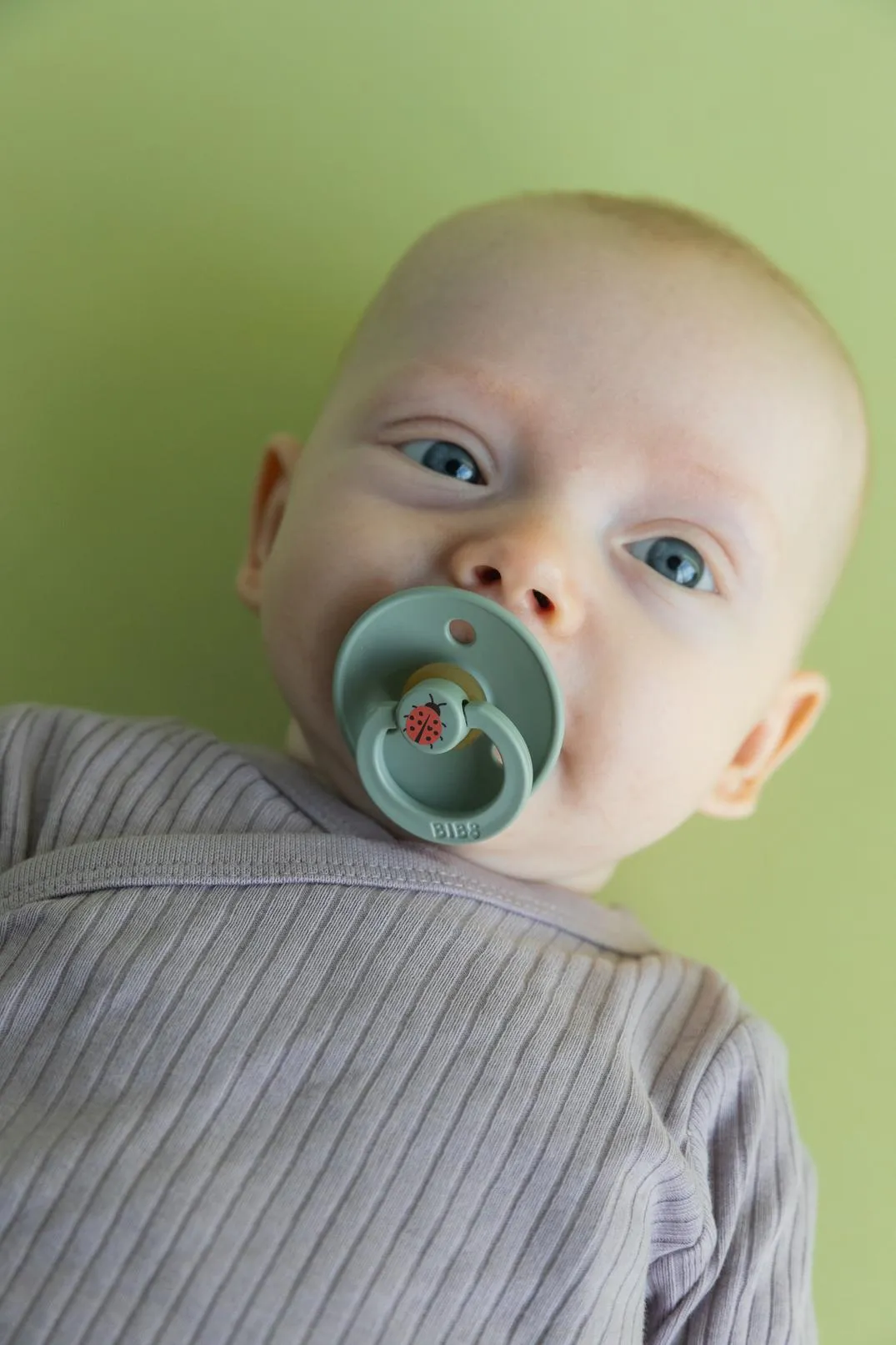 BIBS Pacifier Duo - Urban Garden | Bumblebee Mushroom Mix