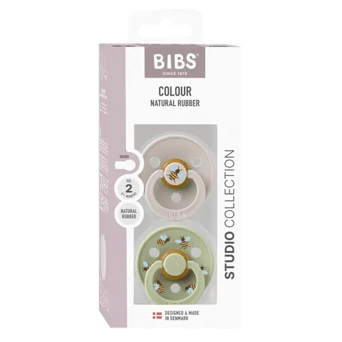 BIBS Pacifier Duo - Urban Garden | Bumblebee Mushroom Mix