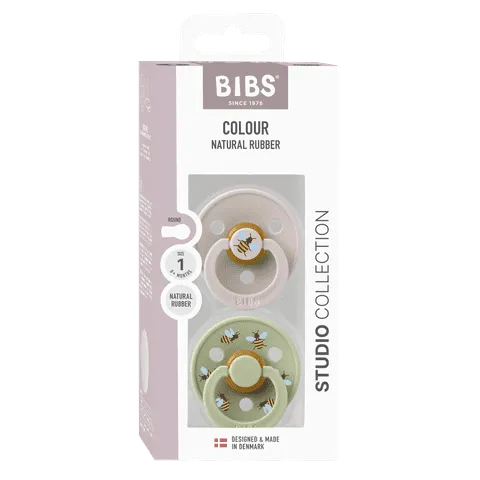 BIBS Pacifier Duo - Urban Garden | Bumblebee Mushroom Mix
