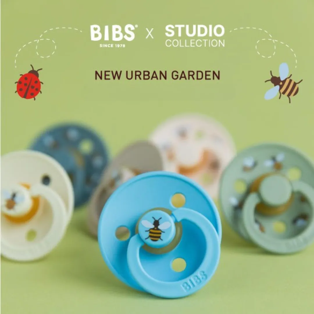 BIBS Pacifier Duo - Urban Garden | Ladybug Blush Mix