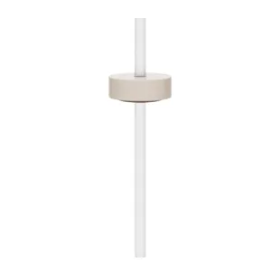 Bink Lounge Straw   Cap | Salt