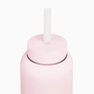 Bink Lounge Straw   Cap | Shell