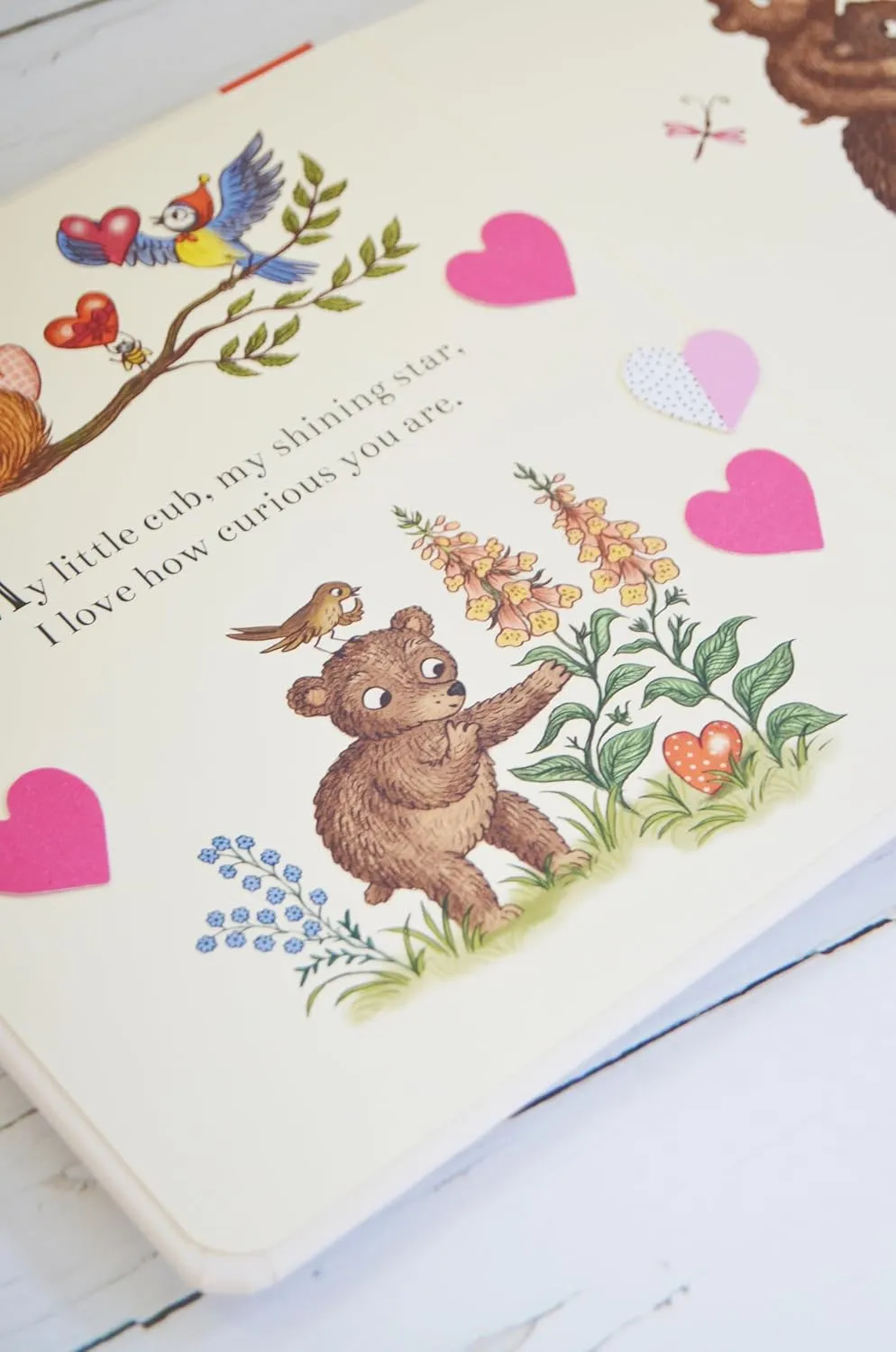 Brown Bear Wood: I Love You Always