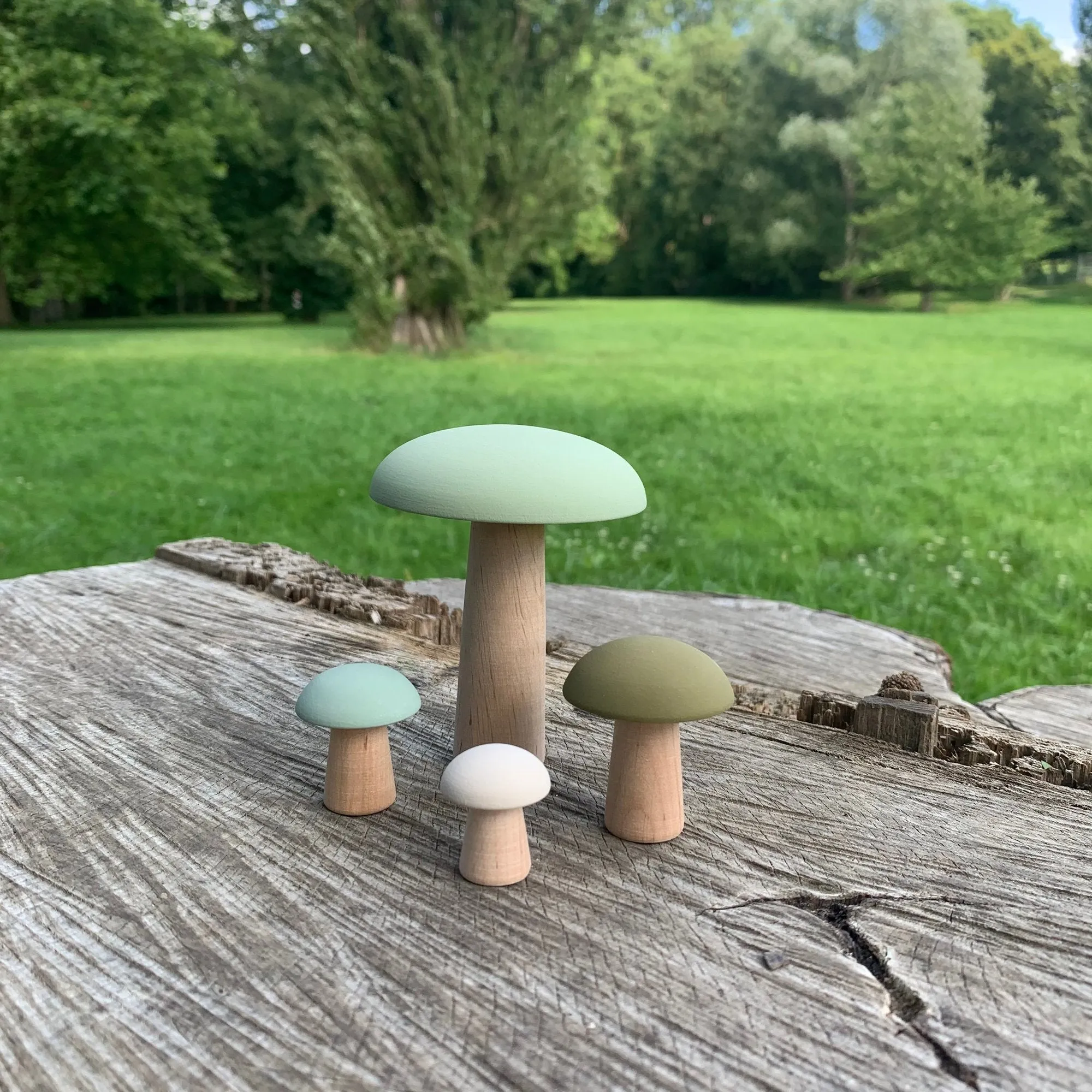 Champignons de Paris Green Moss - Wood Mushrooms Decoration