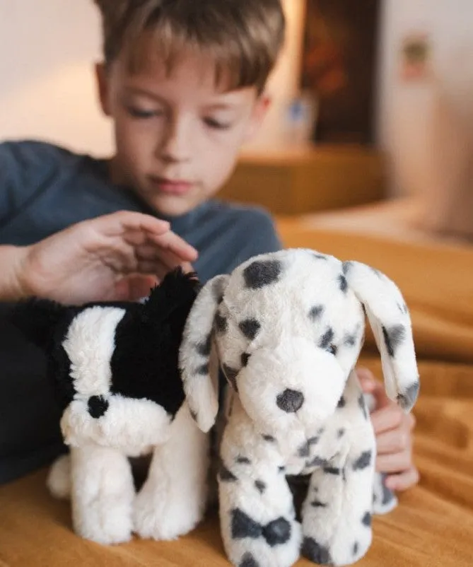 Debbie the Dalmation