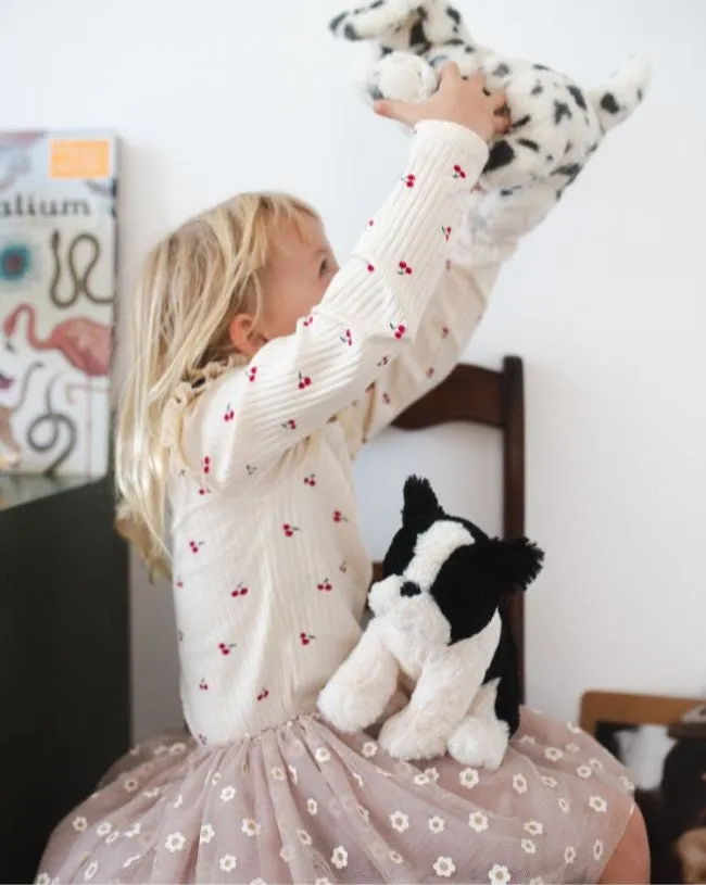 Debbie the Dalmation