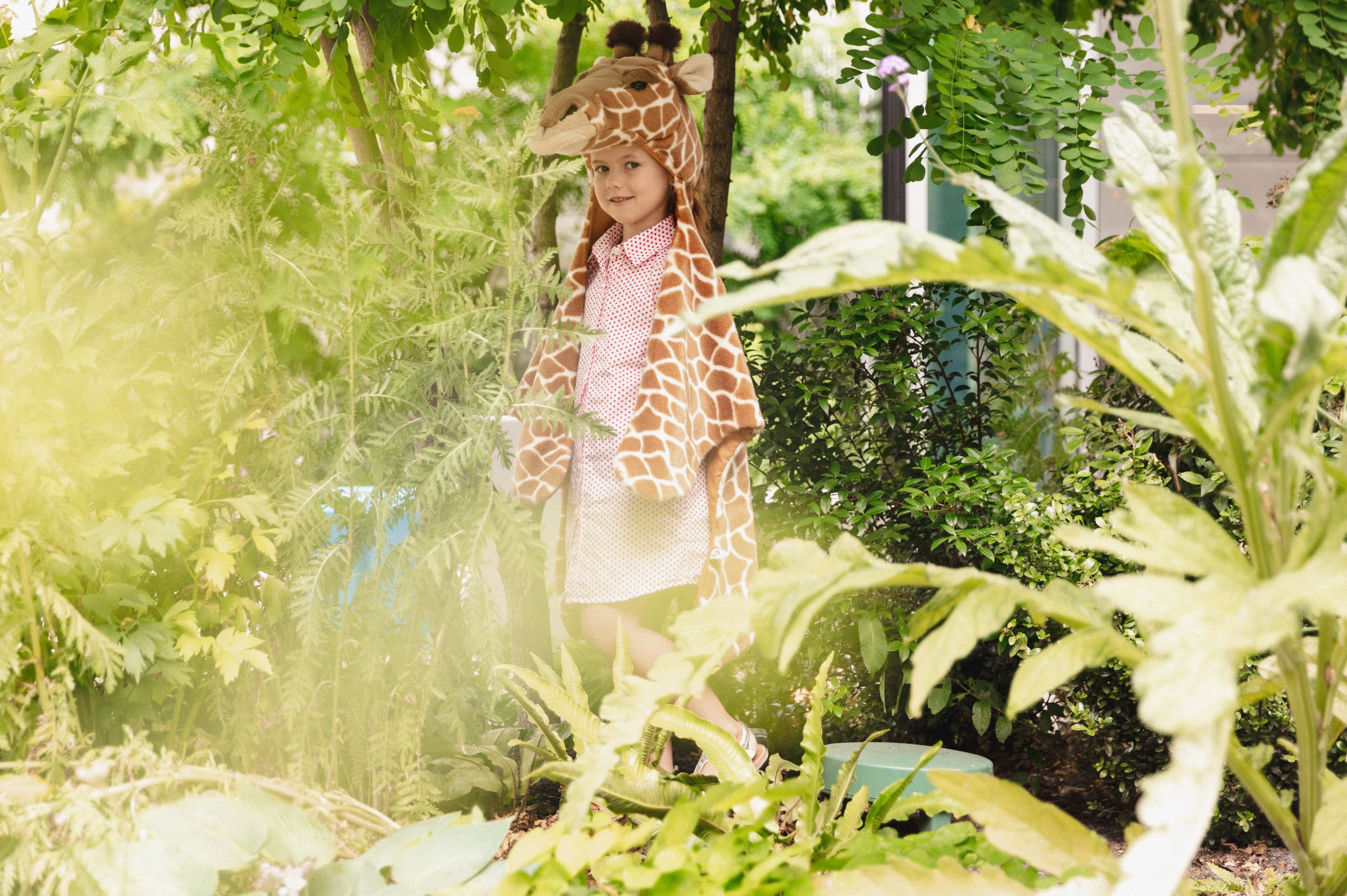 Disguise | Wild & Soft | Giraffe