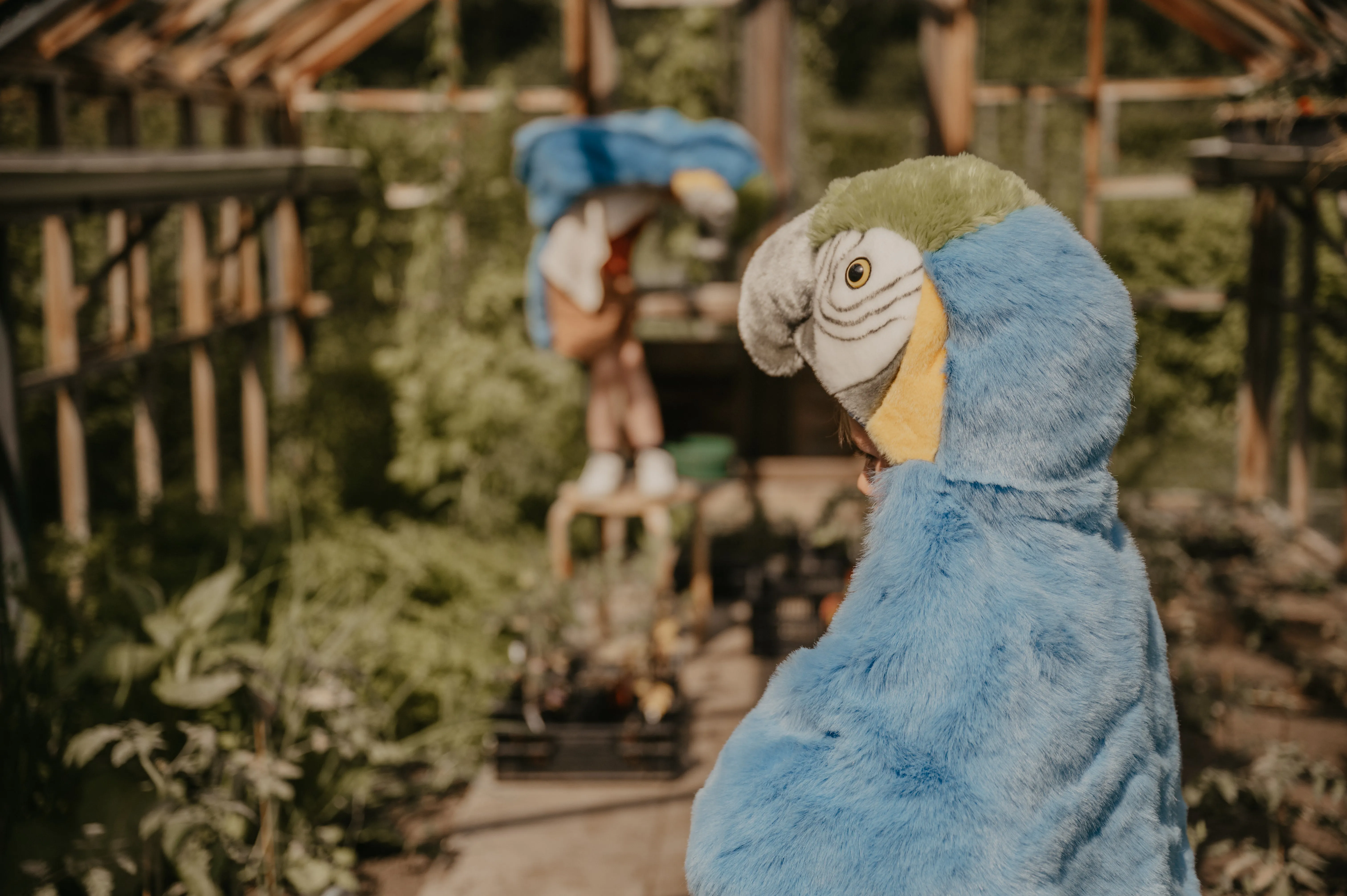 Disguise | Wild & Soft | Parrot