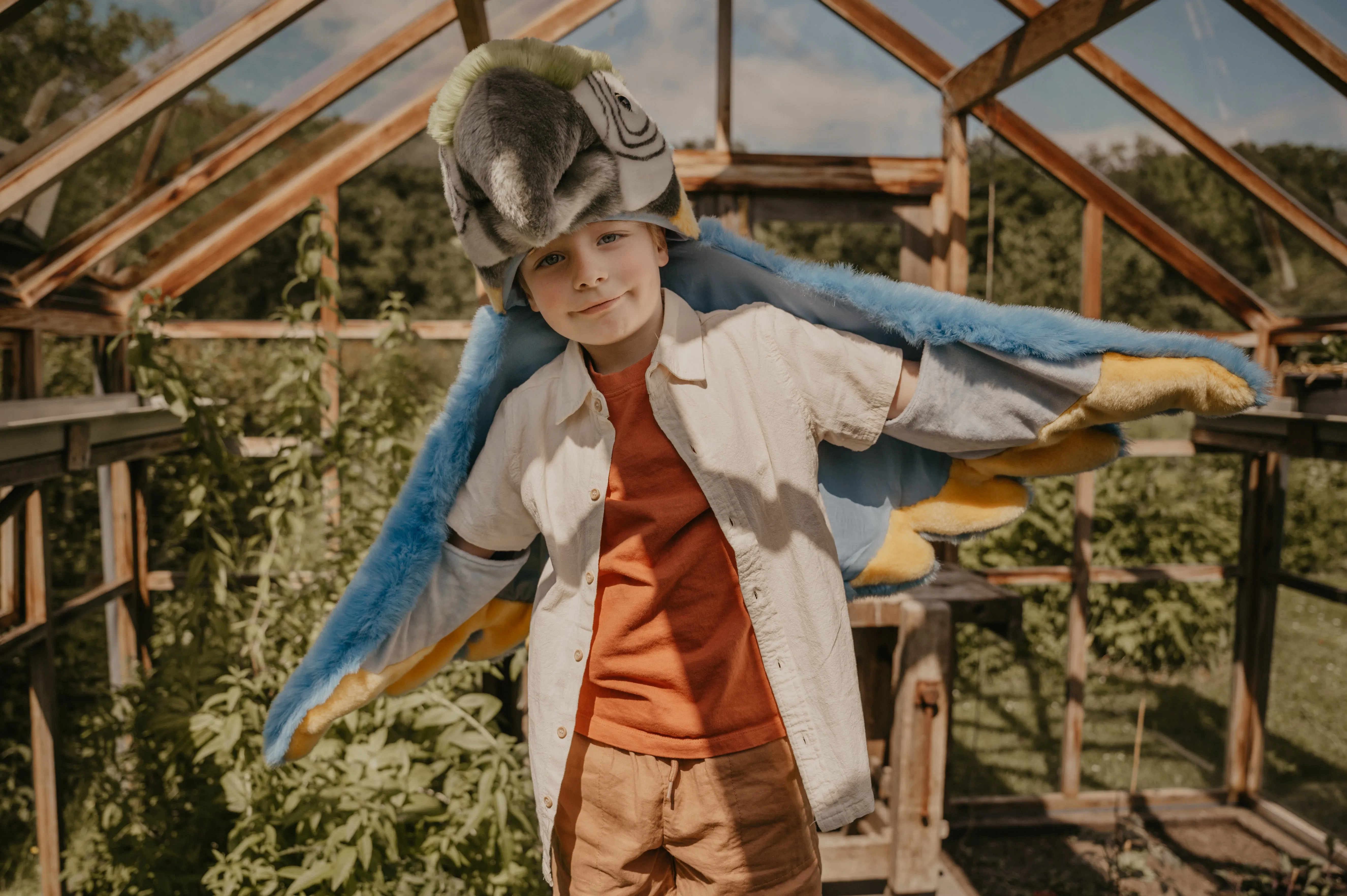 Disguise | Wild & Soft | Parrot