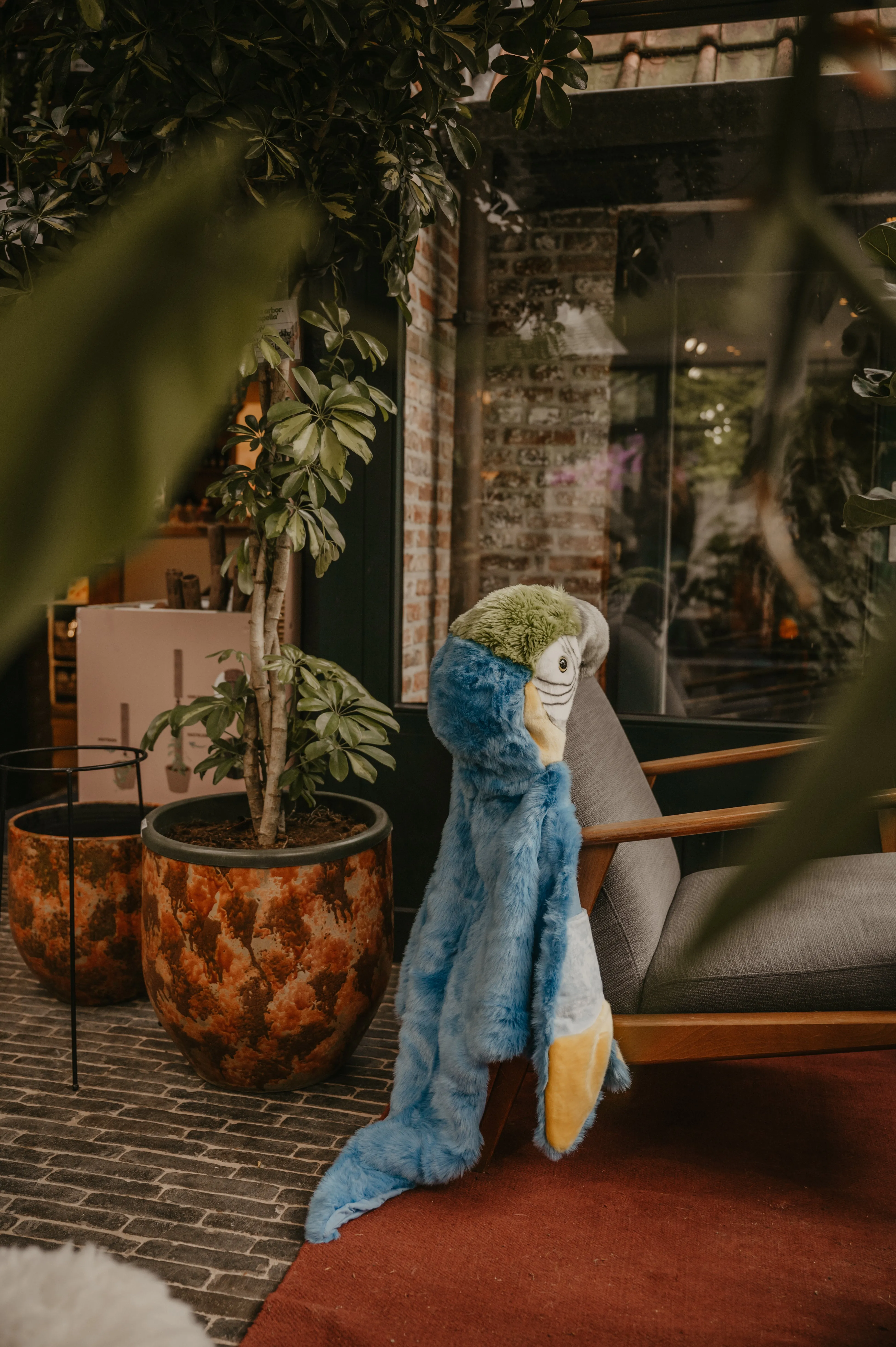 Disguise | Wild & Soft | Parrot