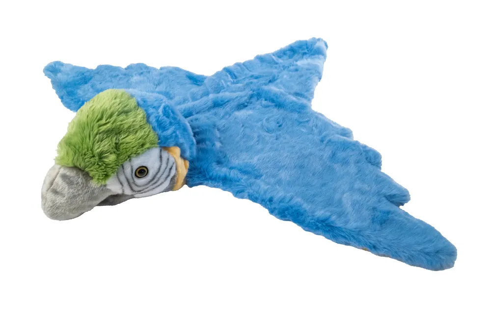 Disguise | Wild & Soft | Parrot