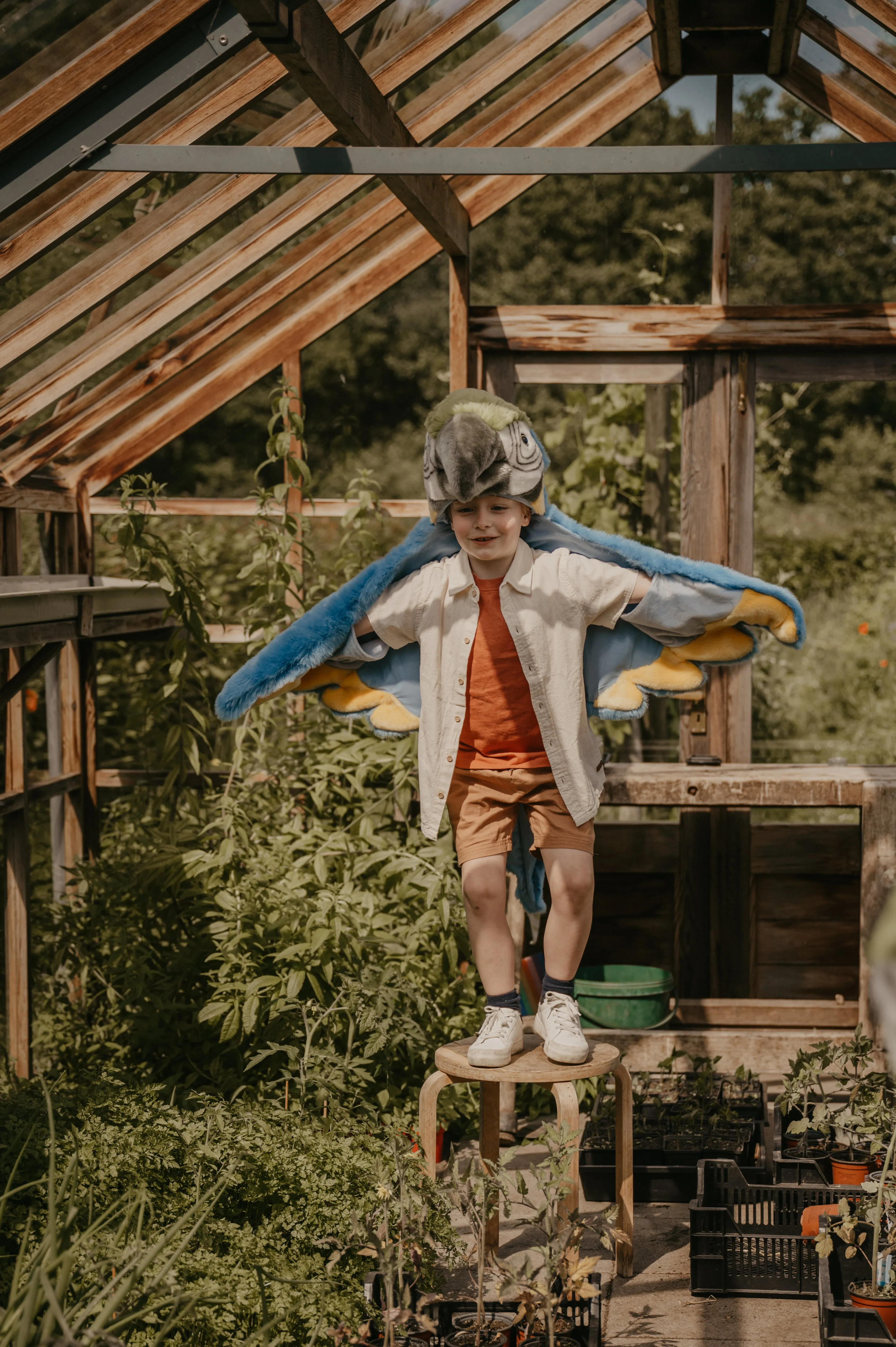 Disguise | Wild & Soft | Parrot
