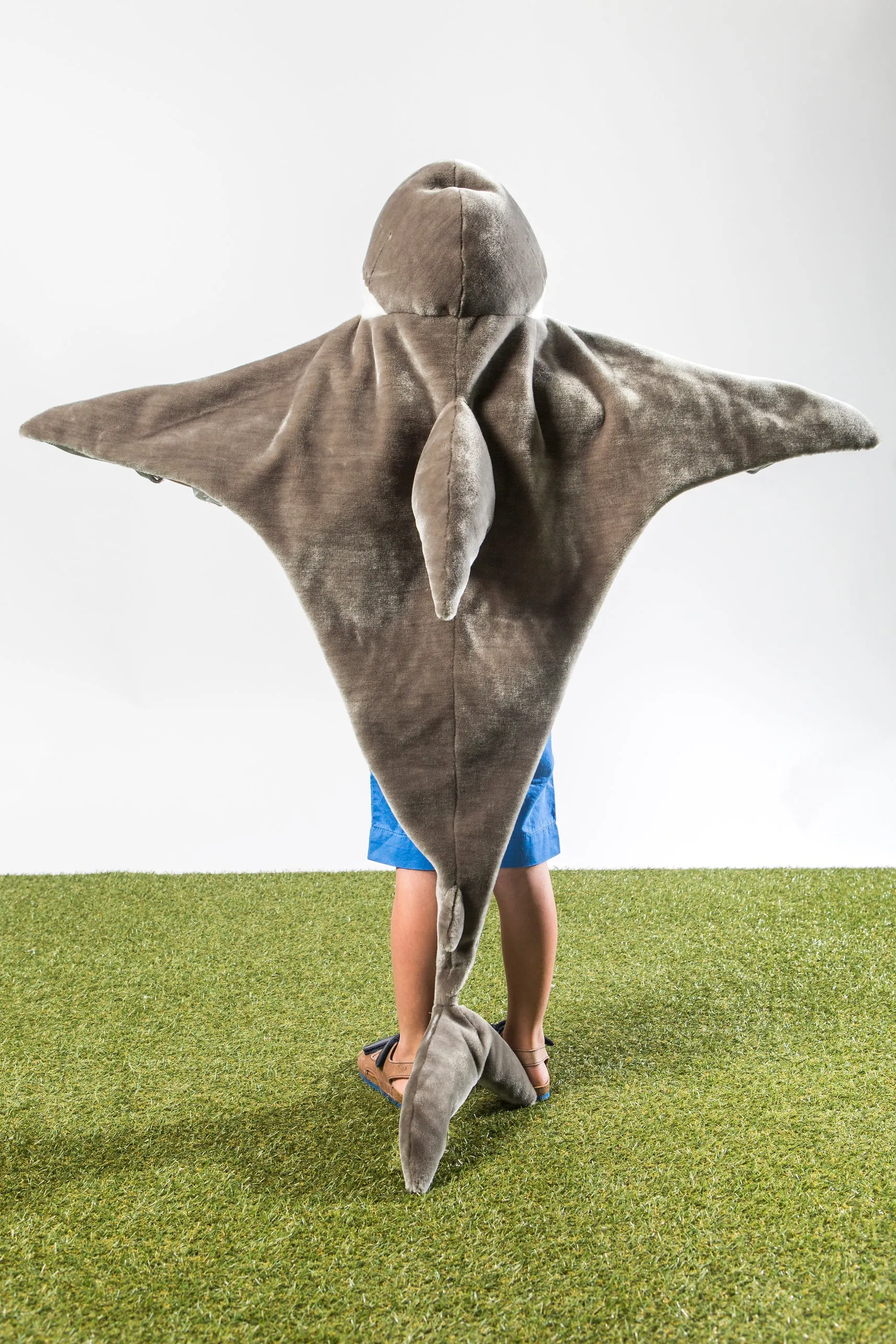 Disguise | Wild & Soft | Shark