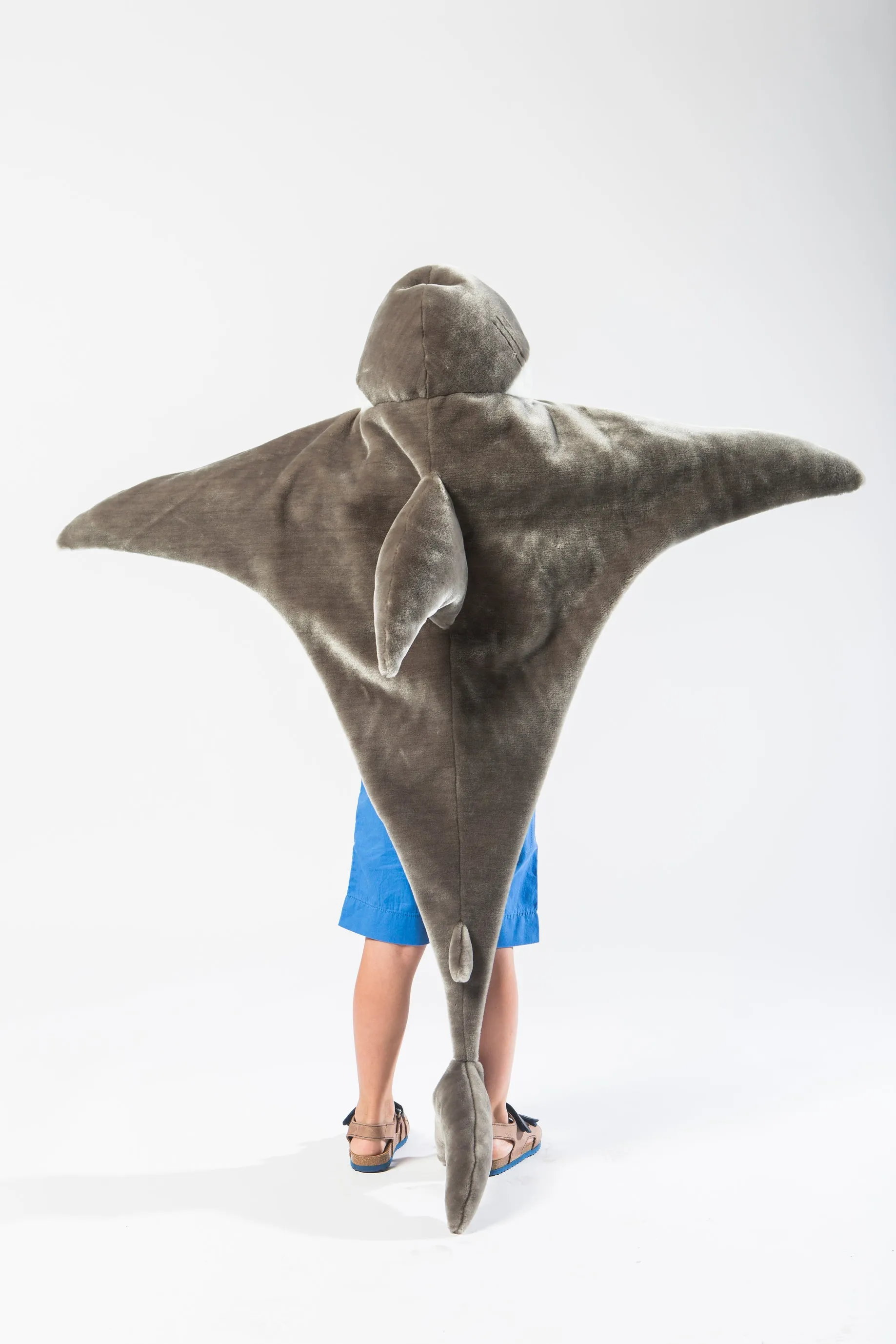 Disguise | Wild & Soft | Shark