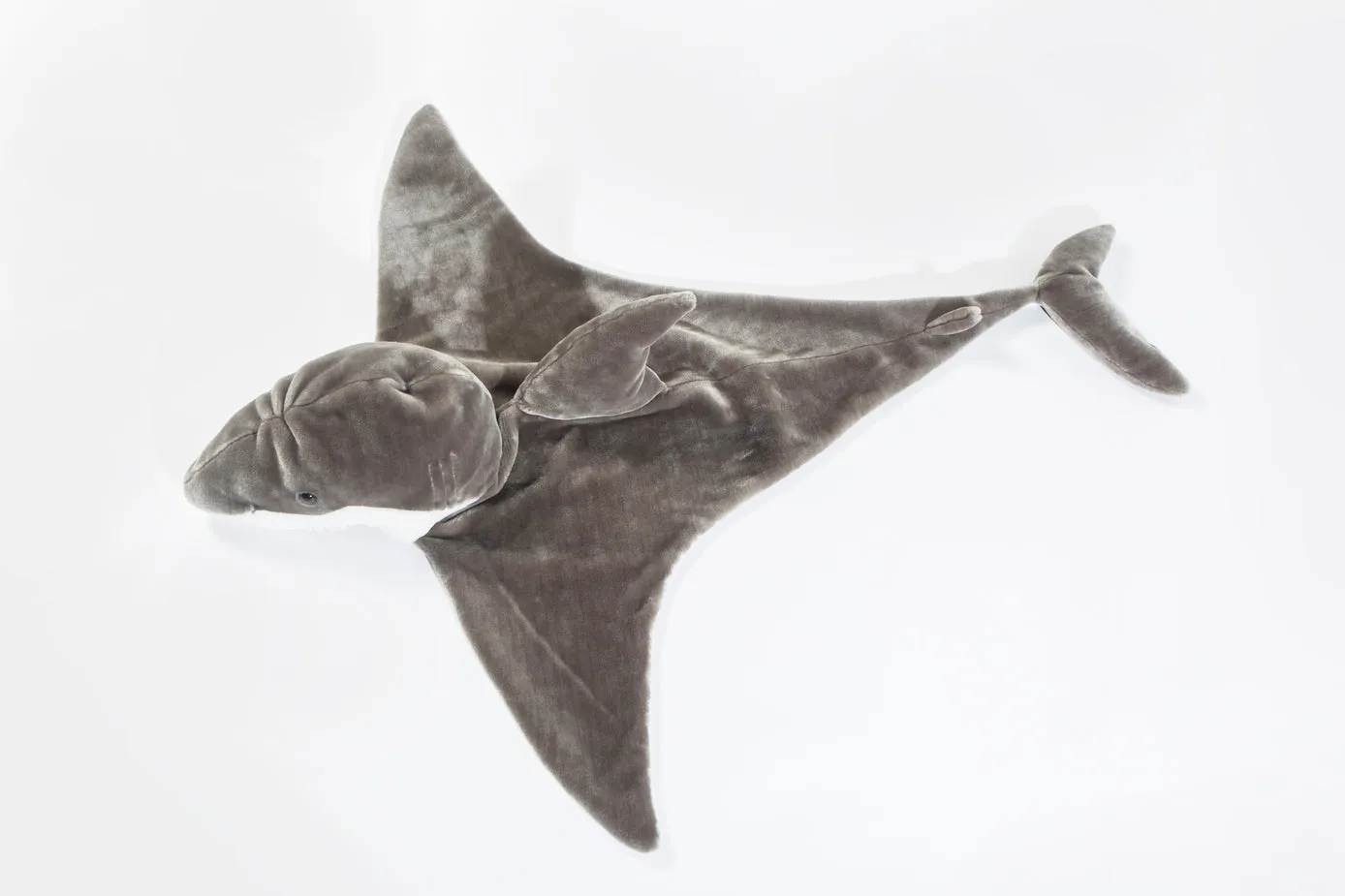Disguise | Wild & Soft | Shark