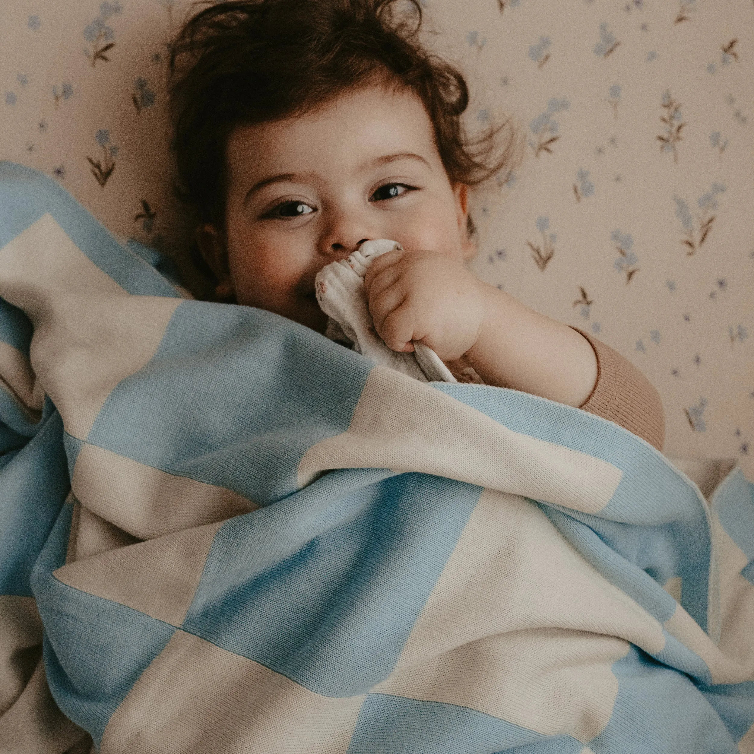 Fox   Fallow Blanket | Powder Check Reversible