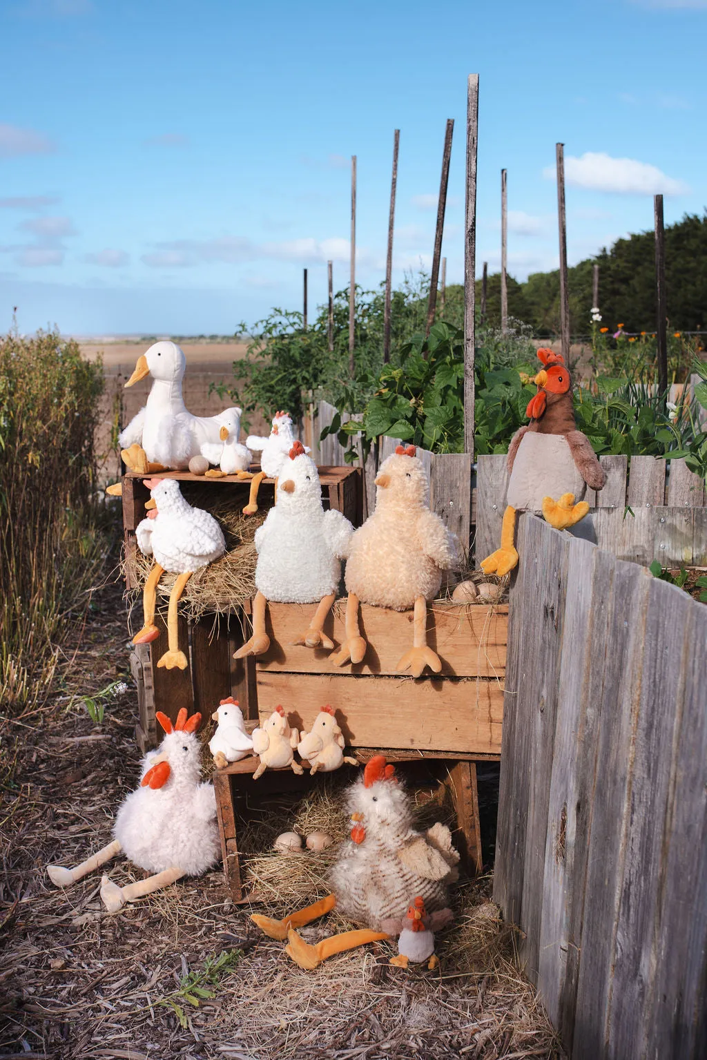 Harriet the Hen - Honey
