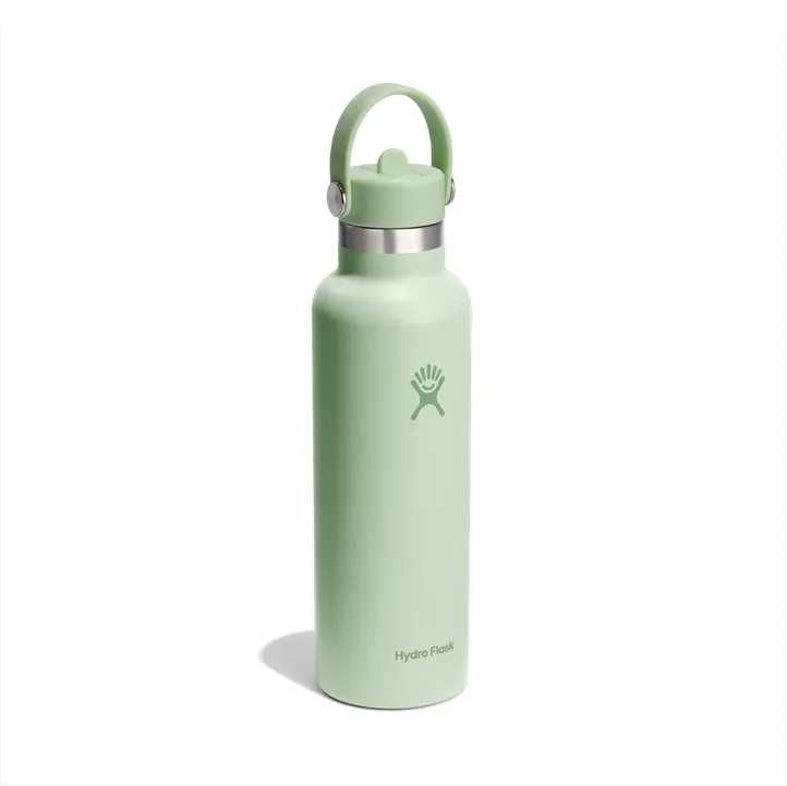 Hydroflask Drink Bottle 21oz (621ml) Standard STRAW Cap - Aloe