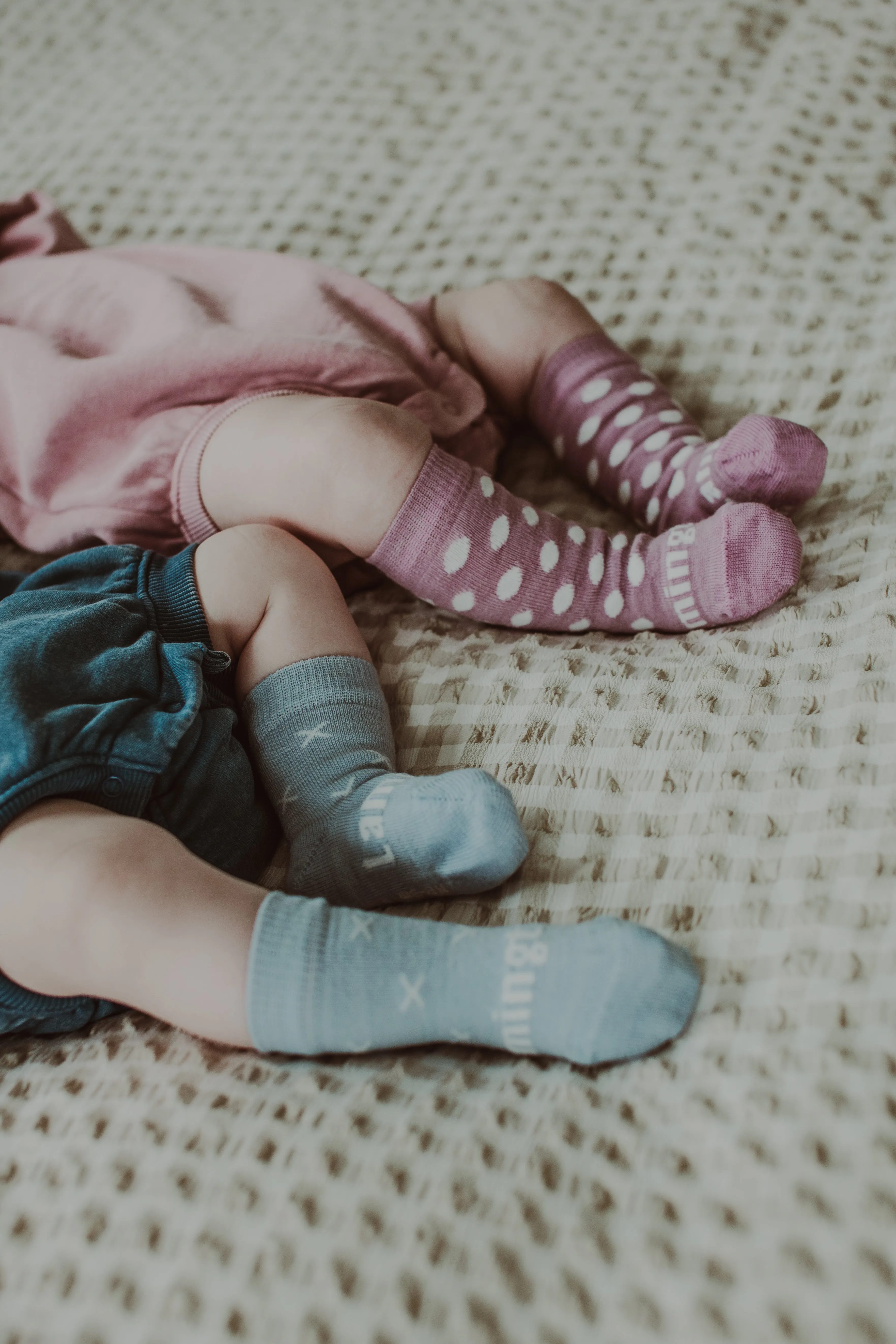 Lamington CREW Merino Socks | Beau