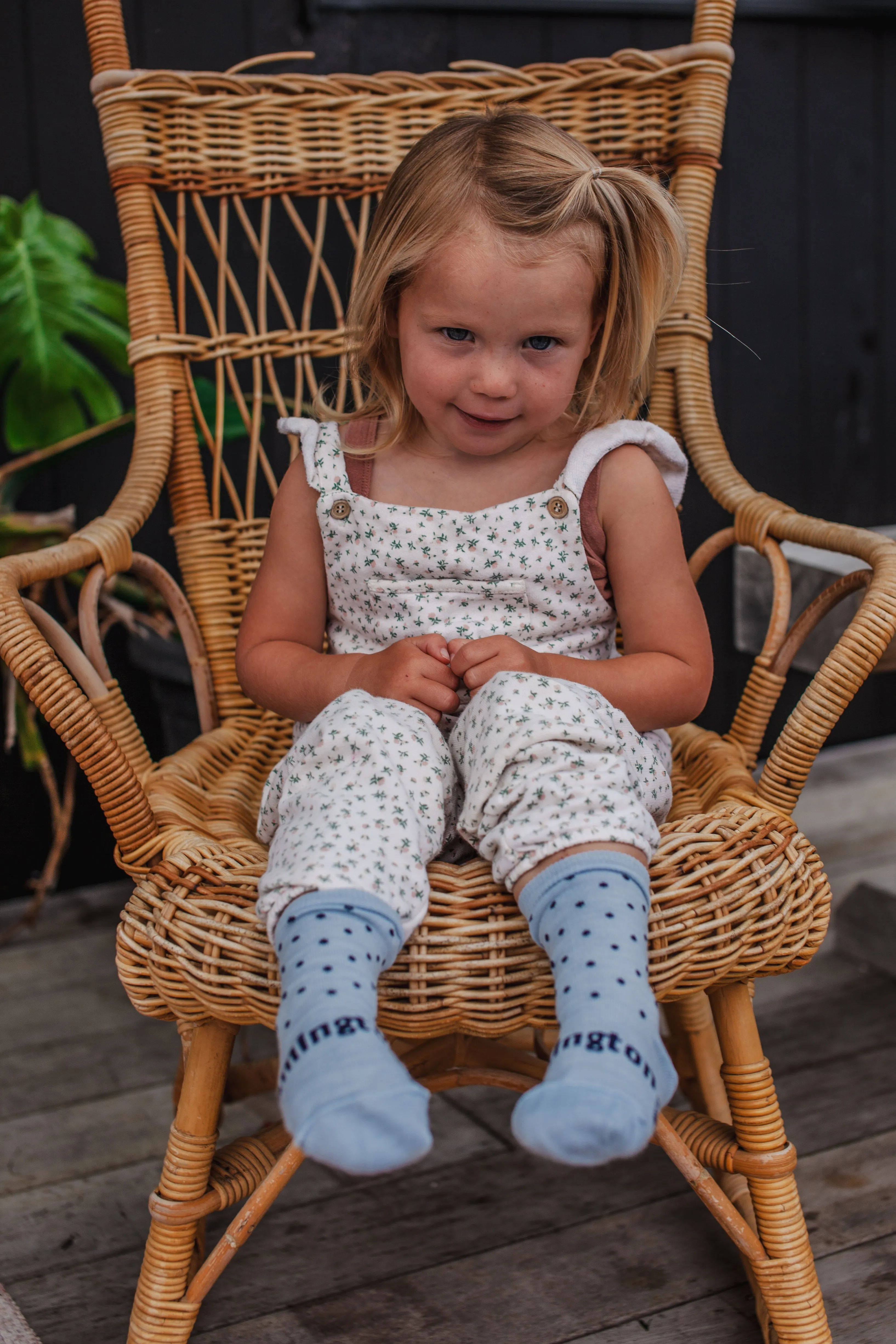 Lamington CREW Merino Socks | Cornflower