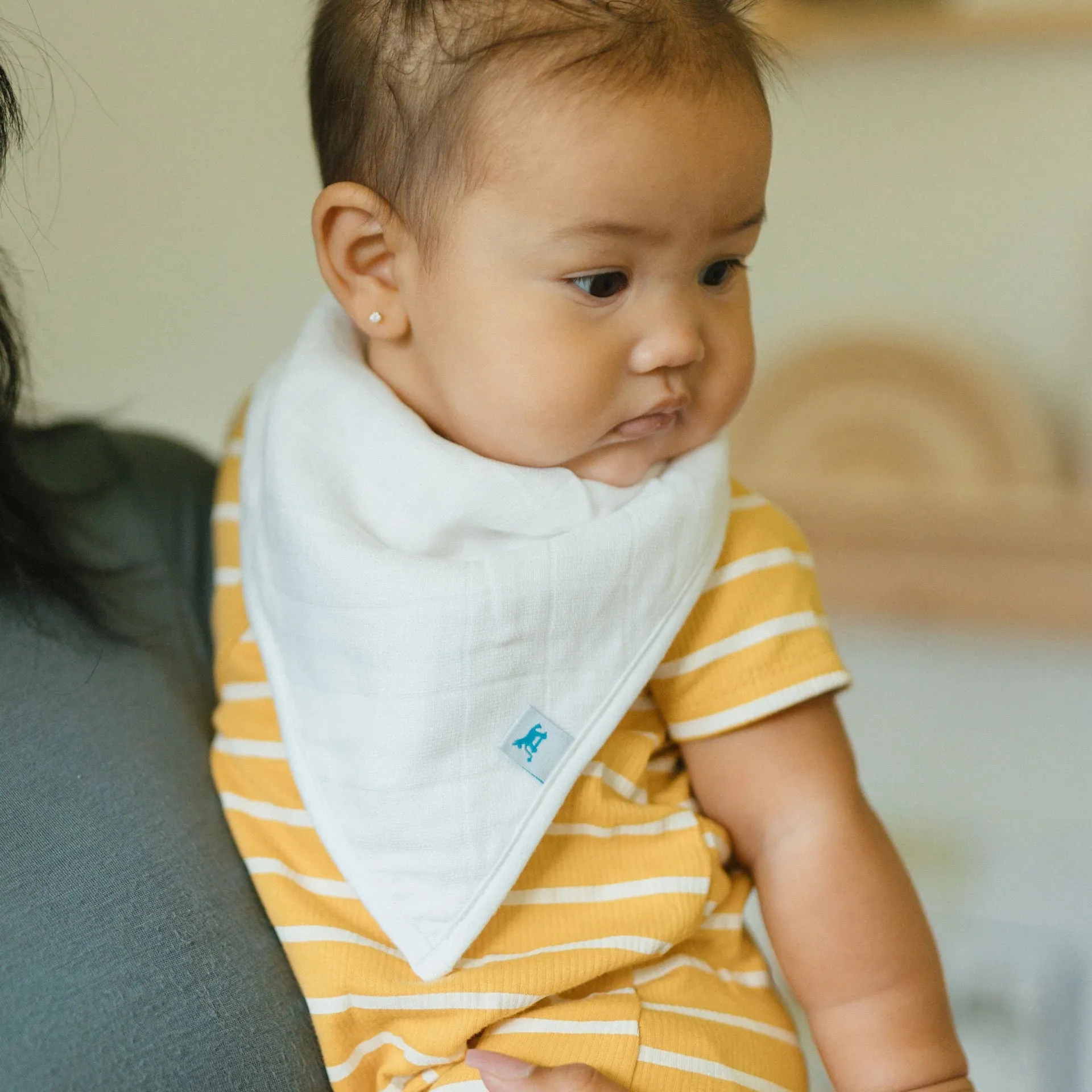 Little Unicorn Fleece Bandana Bib 4 Pack | Taupe Cross