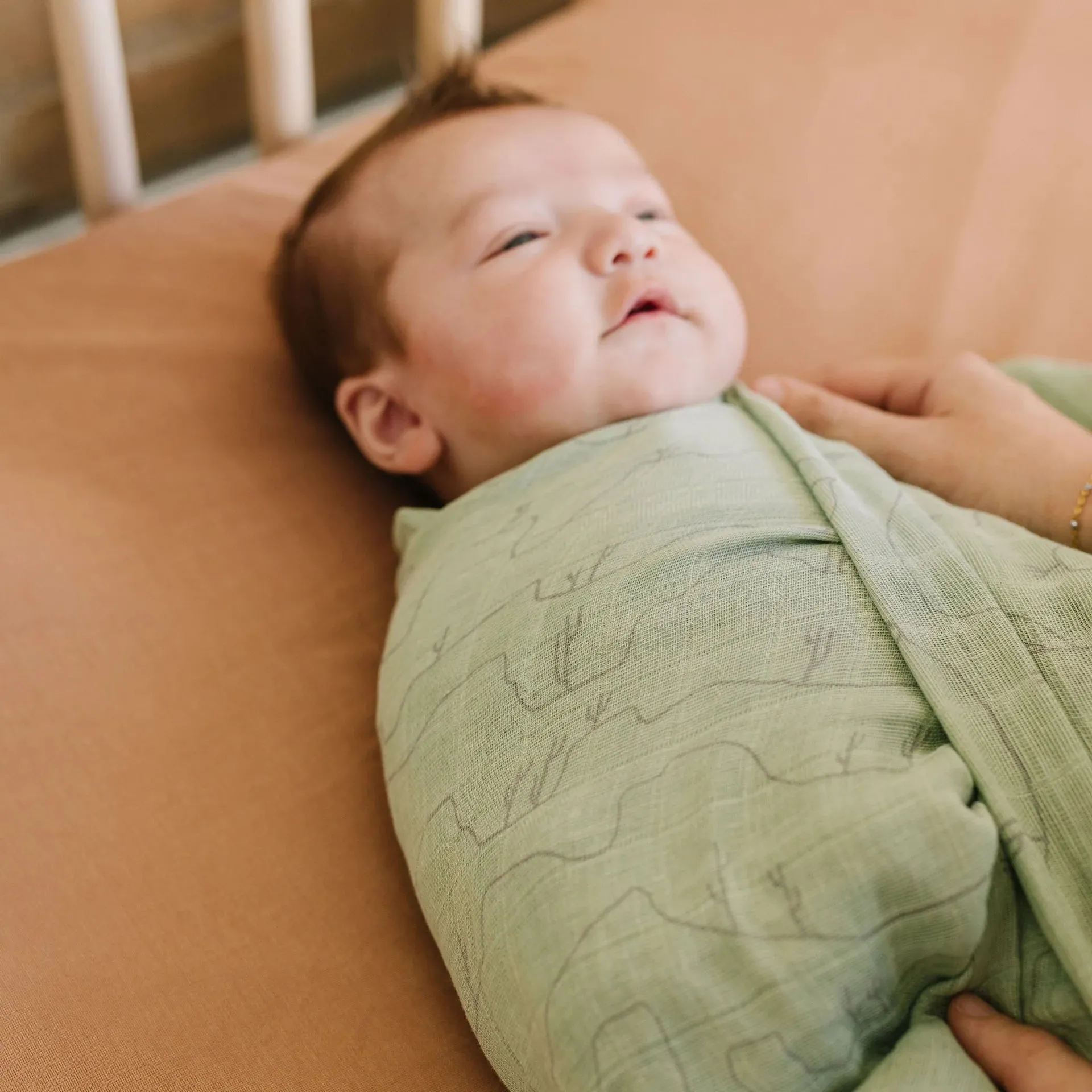 Little Unicorn Single Cotton Muslin Swaddle | Cactus Lines