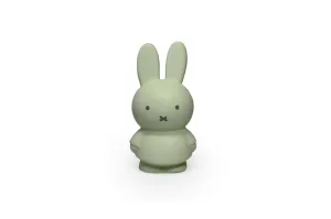 Money Box 13.5cm | Miffy EUCALYPTUS