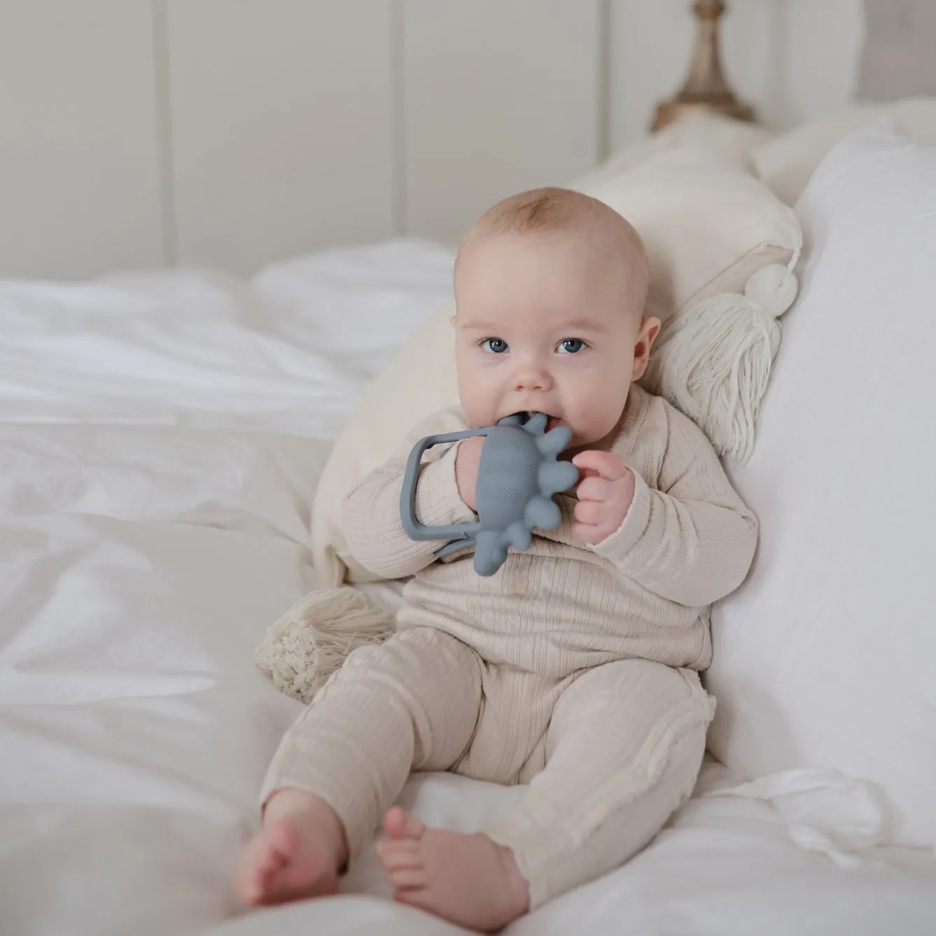 Mushie Teether No-Drop | Dino Tradewinds