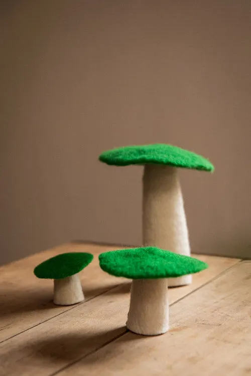 Muskhane Mushroom - Medium 11cm - Chlorophyll