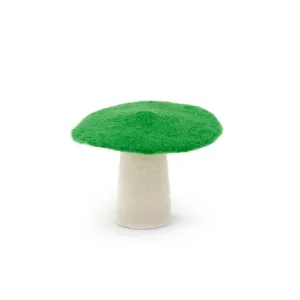 Muskhane Mushroom - Medium 11cm - Chlorophyll