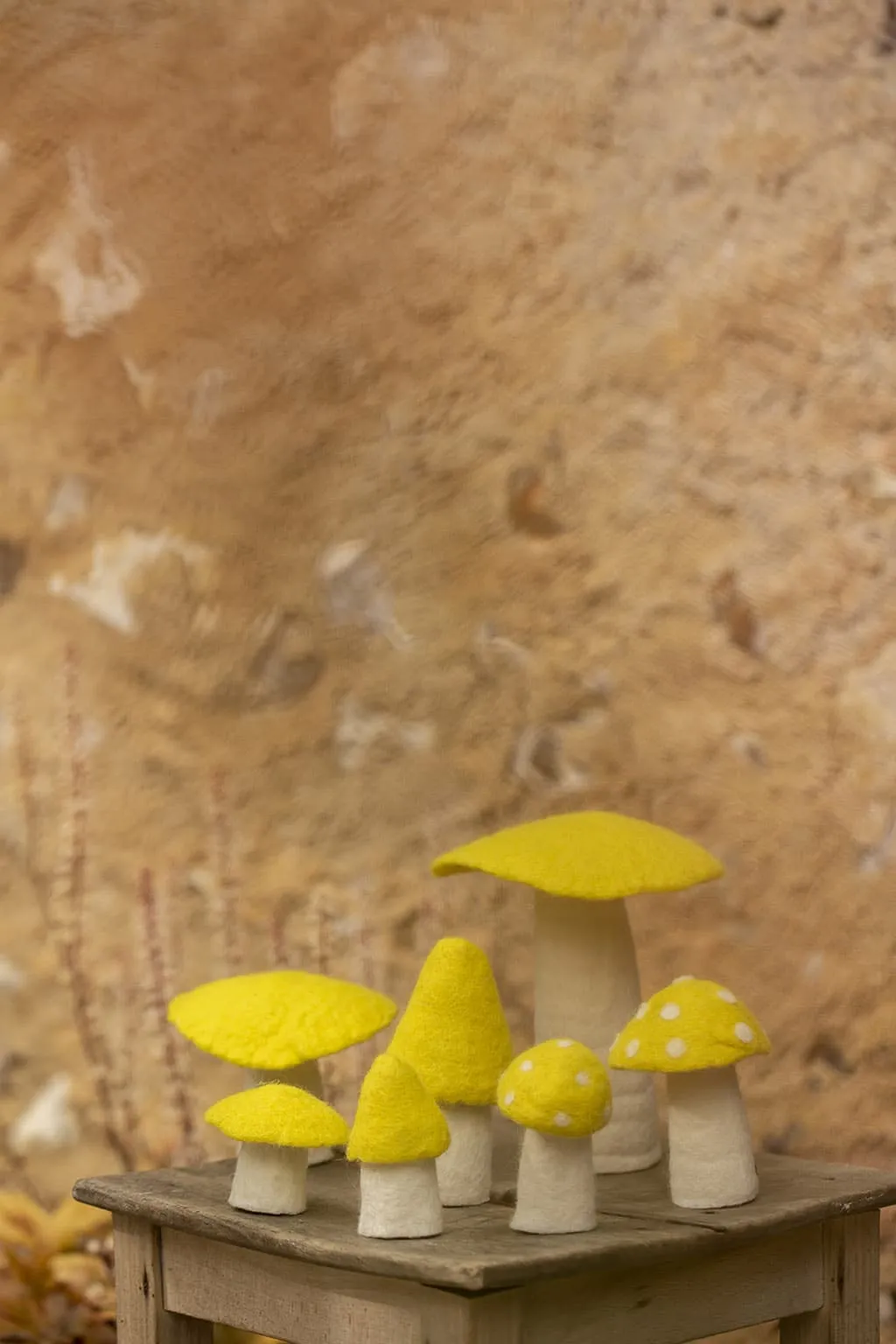 Muskhane Mushroom - Medium 11cm - DOTTY Sulphur Flower