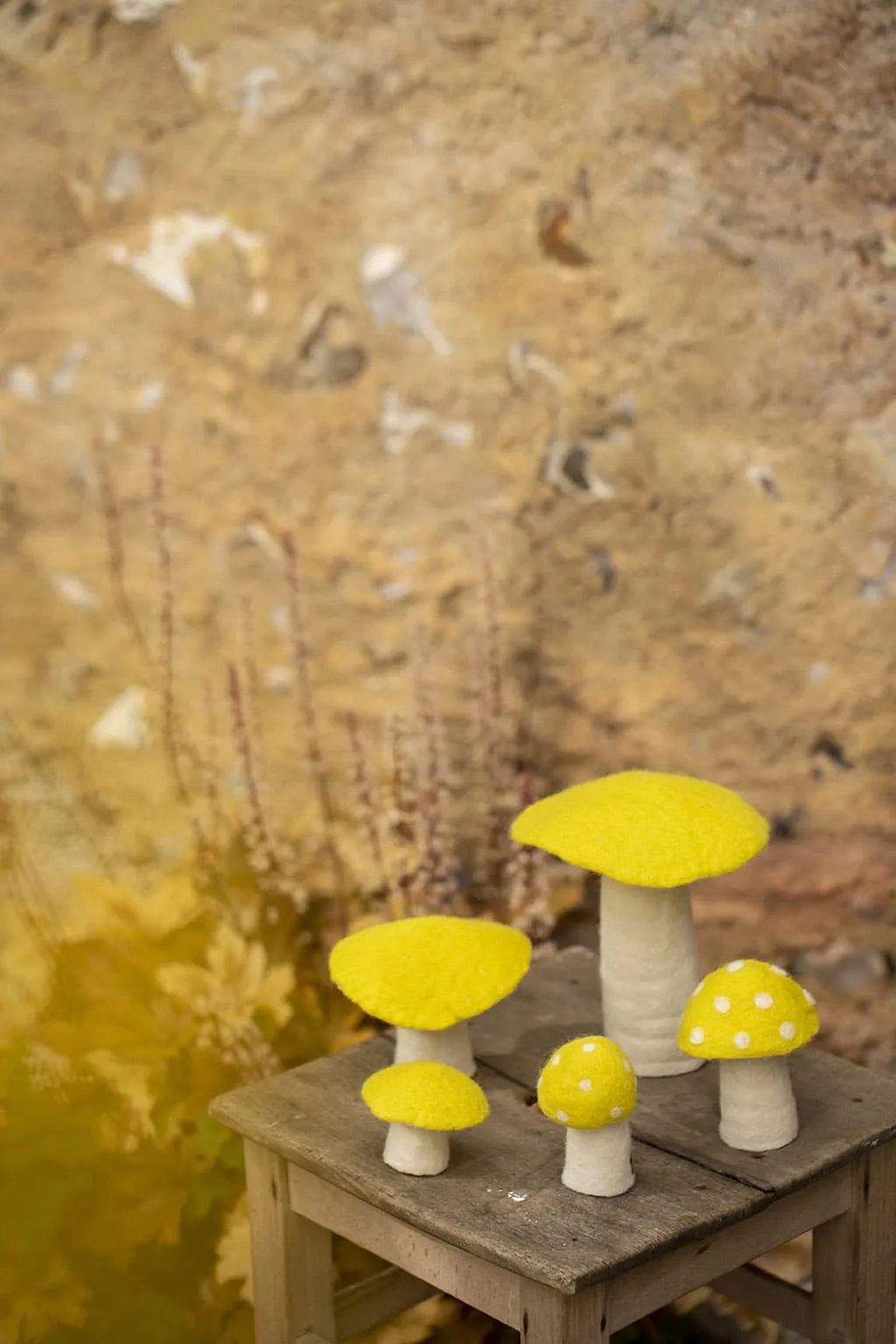 Muskhane Mushroom - Medium 11cm - DOTTY Sulphur Flower