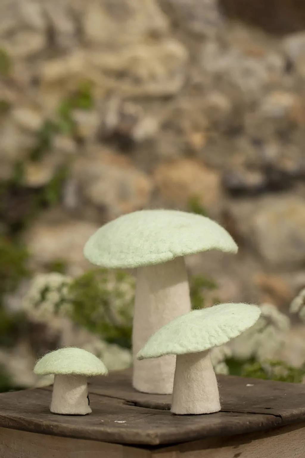 Muskhane Mushroom - Small 6cm - Mint